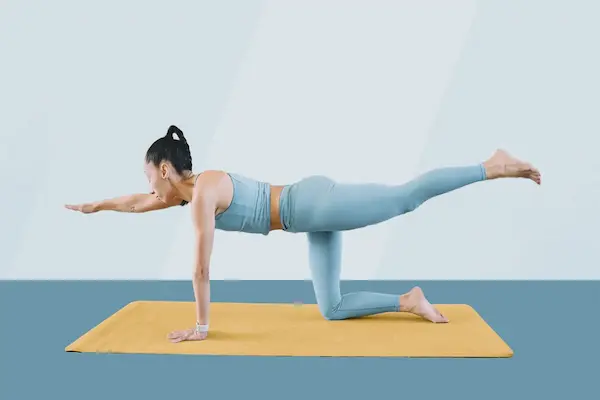 beginner core workout at home