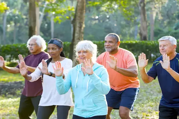 low impact home workout for seniors